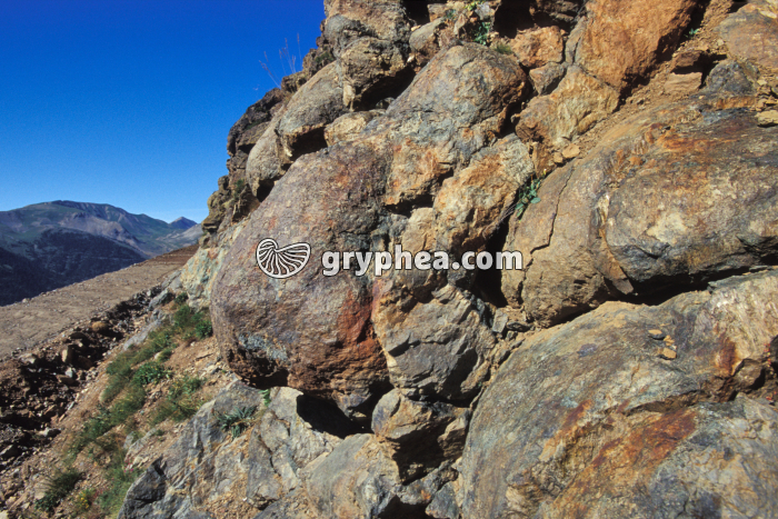 Pillow-lavas (Chenaillet) - gryphea.com